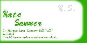 mate sammer business card